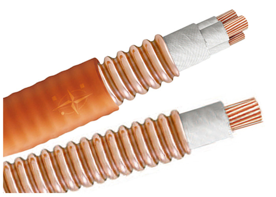 Chiny Light Load Multicore High Temperature Cable BTTW 500V BS IEC Certification dostawca