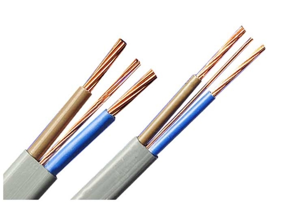 Chiny BS6004-2000 Płaski drut kablowy podwójny i uziemiający Szary 2 * 2,5 + 1,5 SQMM dostawca