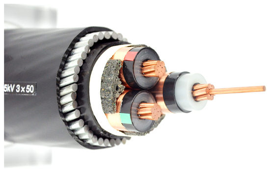 Chiny Dwuwarstwowy kabel elektryczny zbrojony taśmą stalową Norma IEC60228 dostawca