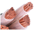 5 rdzeni CU PVC XLPE Kabel zasilający IEC Standard ISO KEMA Zatwierdzony 600 / 1000V dostawca