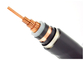 Dwuwarstwowy kabel elektryczny zbrojony taśmą stalową Norma IEC60228 dostawca