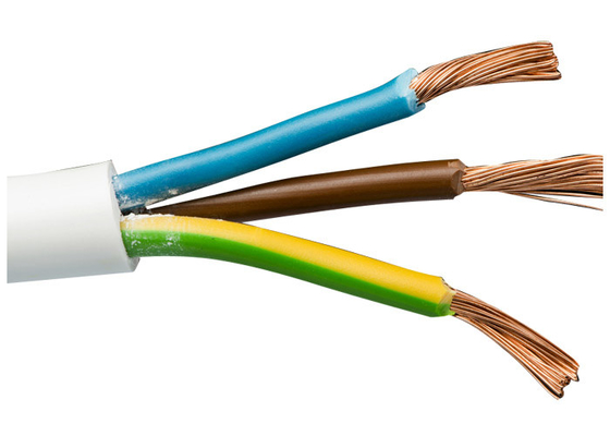 Chiny BV60227 Typ kabla Domowy przewód elektryczny Pojedynczy rdzeń do rozdzielni / rozdzielni aparatury dostawca