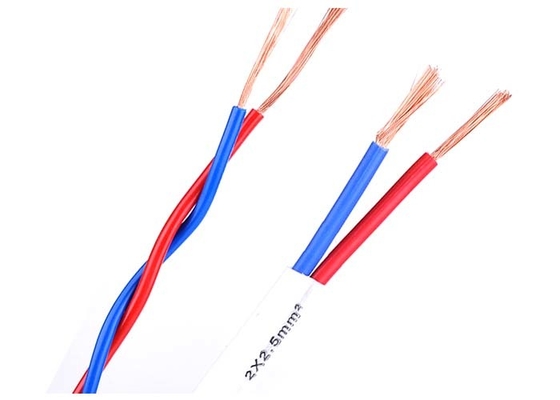 Chiny Two Cores Industrial Electric Wire and Cable PVC Insulated PVC Sheathed dostawca