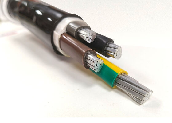 Chiny NYY-O 1x300mm2 Kabel z miedzi beztlenowej z izolacją PVC, jednożyłowy, elektroenergetyczny, dystrybucyjny 0,6/1kV dostawca