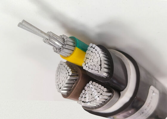 Chiny RVV 2x2.5mm2 Flexible Oxygen-Free Copper PVC Insulated Sheathed Cable for Home Appliance 300/500V dostawca