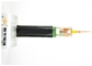 Custom 600 V 70 ℃ PVC Insulated Power Cable 2 Years Warranty CVV CVV-S dostawca