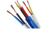 kryty przewód elektryczny 300 Volt 500 Voltage Multicore Industrial Electrical Cable dostawca