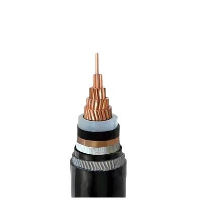 Dostosowany kabel elektryczny z pancerza z aluminium, opancerzony kabel zasilający dostawca