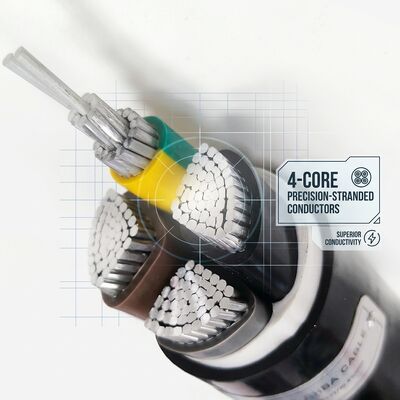 Wodotwórny, odporny na wilgoć, izolowany kabel z PVC 0,6/1kV 2 rdzeń 2x4mm2 Zewnętrzny mokry obszar dostawca