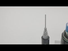 AWA SWA Opancerzony kabel miedziany o długości 100 m w osłonie z PVC