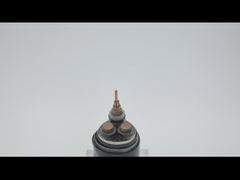 AWA SWA Opancerzony kabel miedziany o długości 100 m w osłonie z PVC