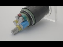 AWA SWA Opancerzony kabel miedziany o długości 100 m w osłonie z PVC